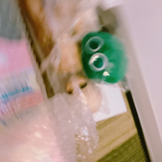 ���킟�����������